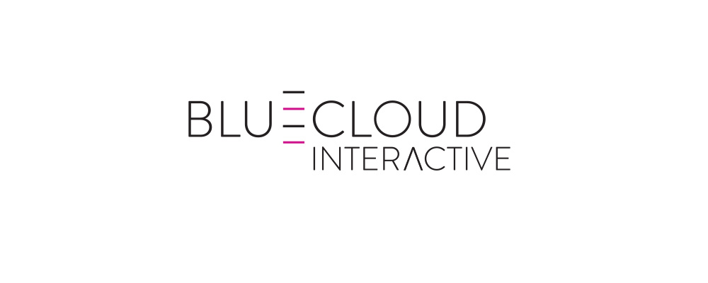 Bluecloud Interactive