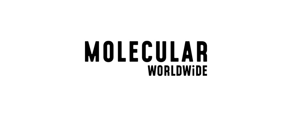 Molecular Worldwide
